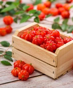 Brighter Blooms Star Cherry Tree (Pitanga)