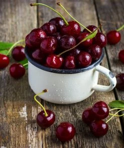Brighter Blooms Stella Cherry Tree
