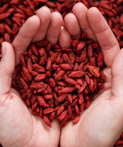 Brighter Blooms Fruit Trees Healthy Superfoods Kit