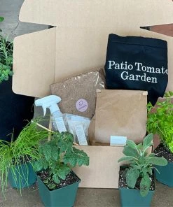 Brighter Blooms House & Patio Patio Tomato Garden