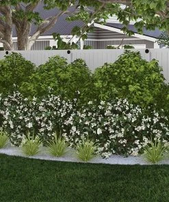 Brighter Blooms Warm-Climate Shade Garden Kit Shrubs & Hedges