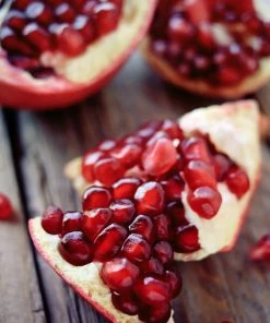 Brighter Blooms Wonderful Pomegranate Tree Fruit Trees 7 Brighter Blooms Wonderful Pomegranate Tree Fruit Trees