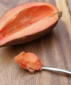 Brighter Blooms Fruit Trees Mamey Fruit Tree (Sapote)